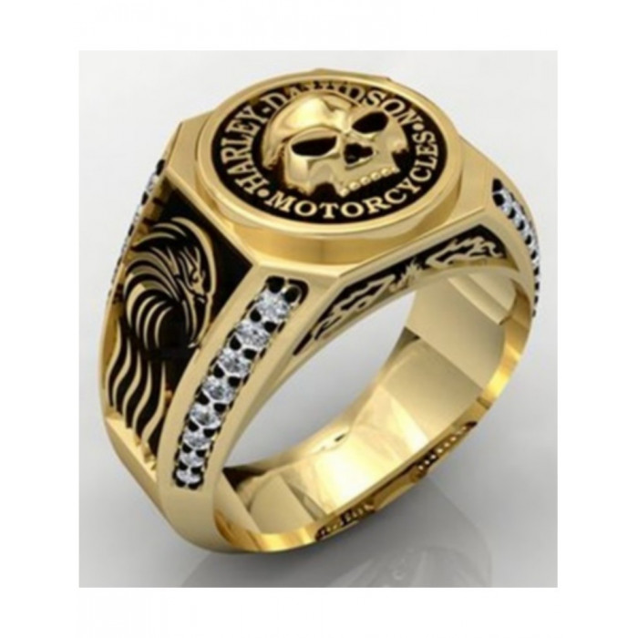 Bague chevalière pour homme...