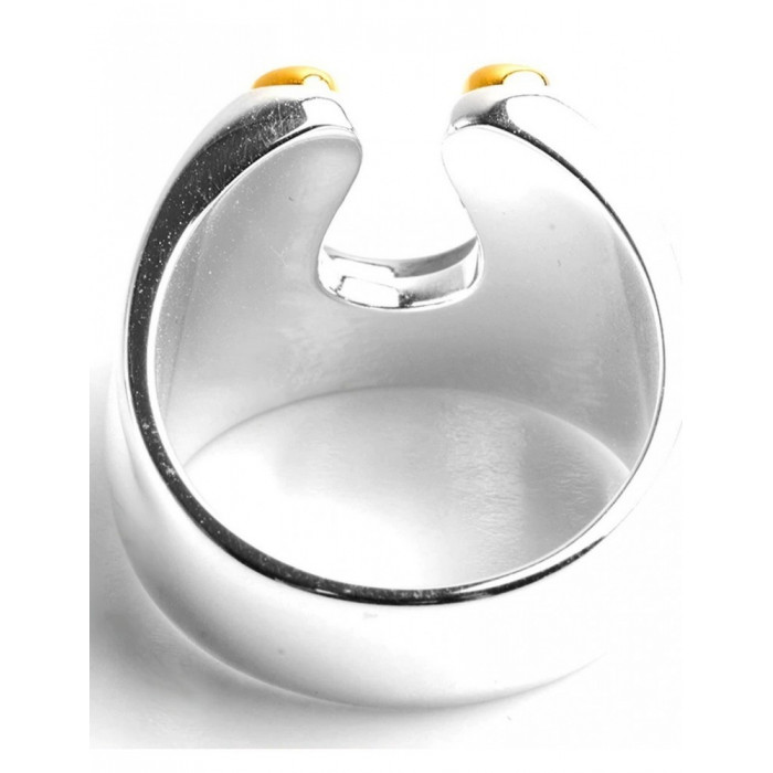 Bague pour Homme en Acier